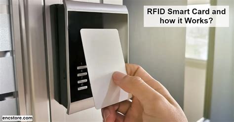 smart card deluxe rfid|smart card identification.